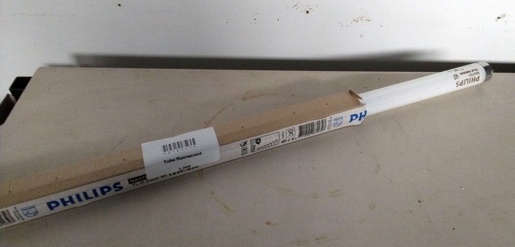 Tube fluorescent