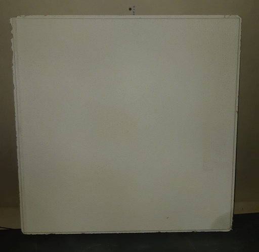 [251205AIN019] Dalle de faux plafond (m2)