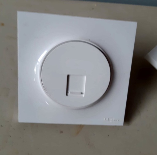 [260618THO005] RJ45 encastrée